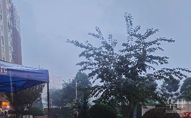 传播明星的瓜违法吗